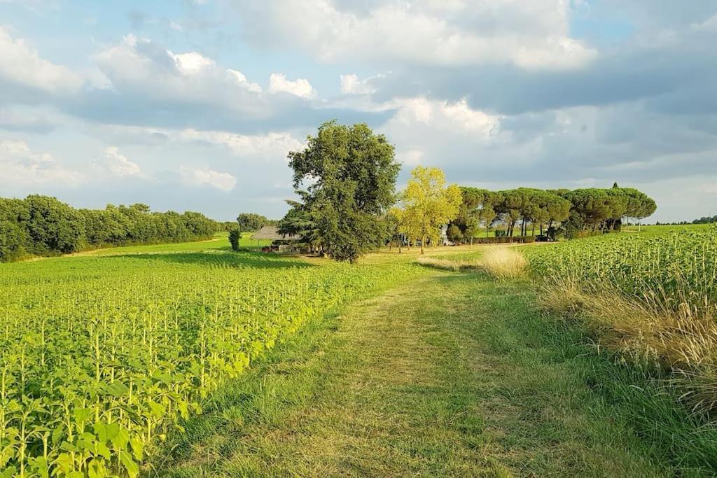 Gite De Campagne L'Estressol Cuq  Экстерьер фото