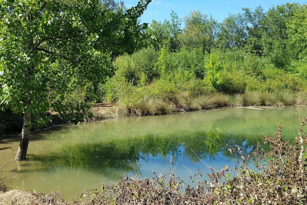 Gite De Campagne L'Estressol Cuq  Экстерьер фото