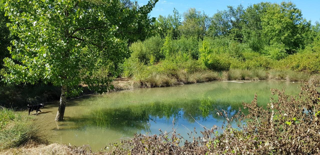 Gite De Campagne L'Estressol Cuq  Экстерьер фото