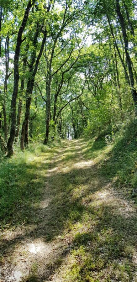 Gite De Campagne L'Estressol Cuq  Экстерьер фото
